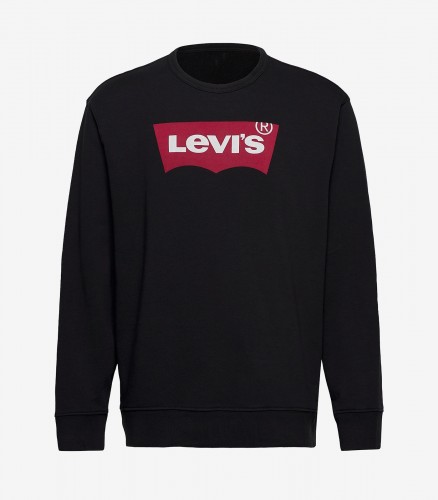 GRAPHIC CREW B HM SSNL FILL 2 - Sweatshirts